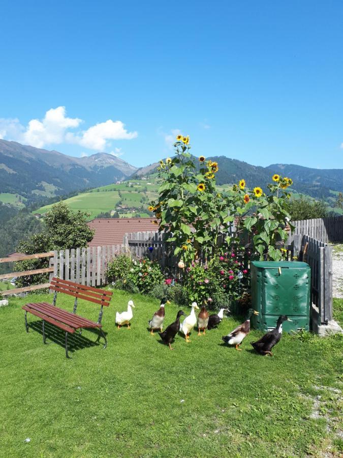Vila Ferienhaus Unterblasbichl Fusch an der Glocknerstraße Exteriér fotografie